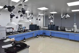 號外！玉環(huán)市食品藥品檢驗(yàn)檢測中心搬家啦，家政服務(wù)同步煥新